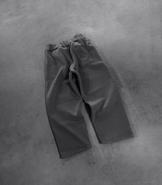STONE GREY PANT